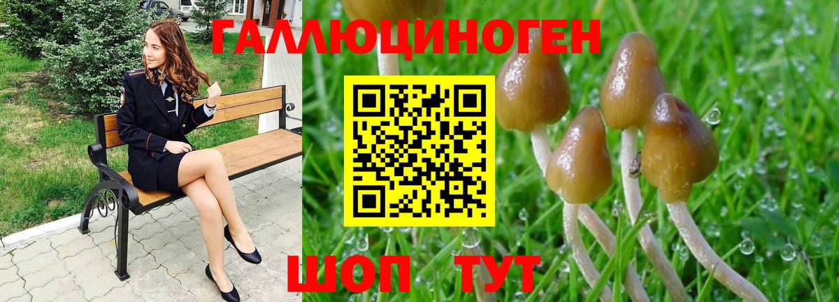 Новочеркасск  Галлюциногенные грибы Cubensis  Вход с VPN 